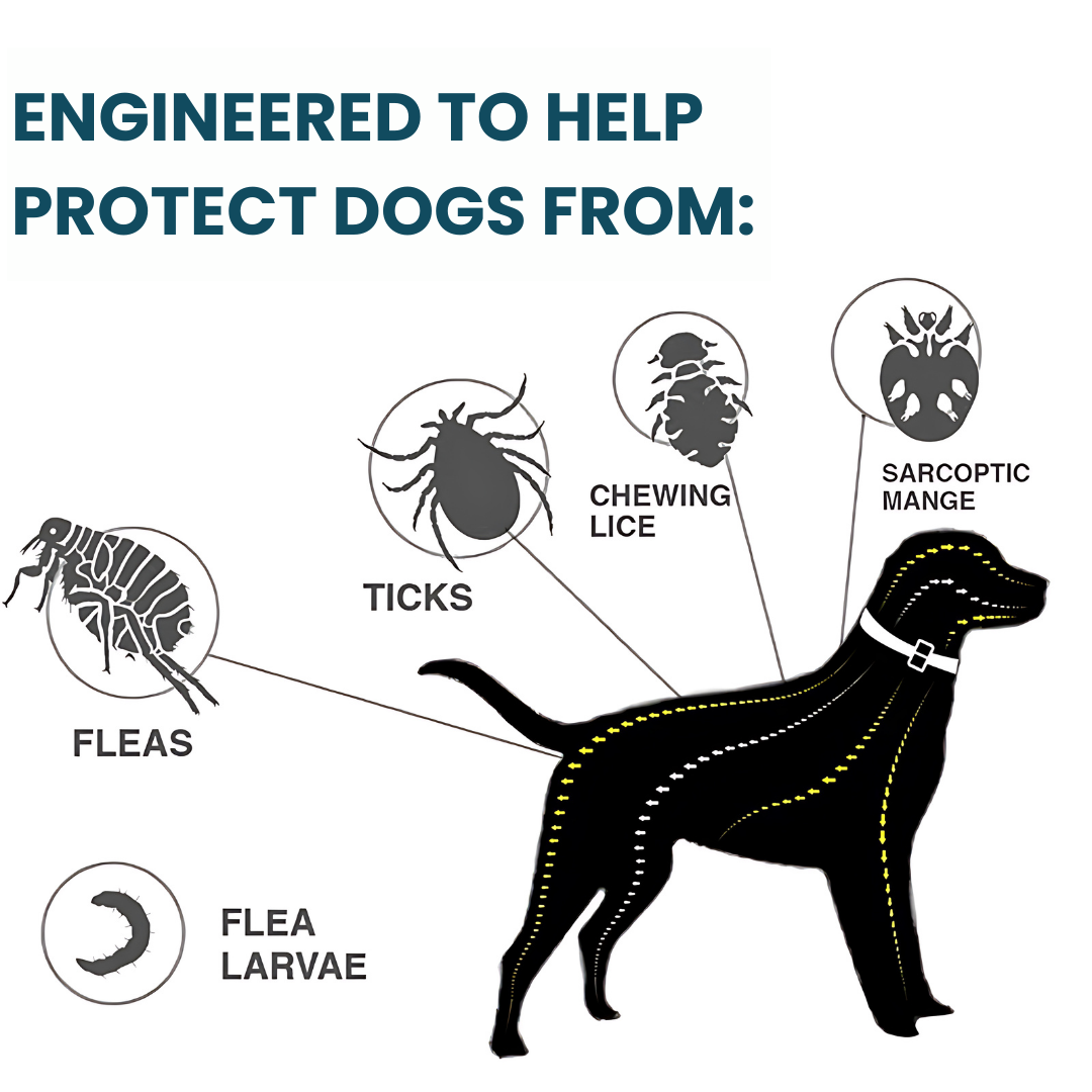 FleaGuard™ - 8 Months Flea & Tick Protection