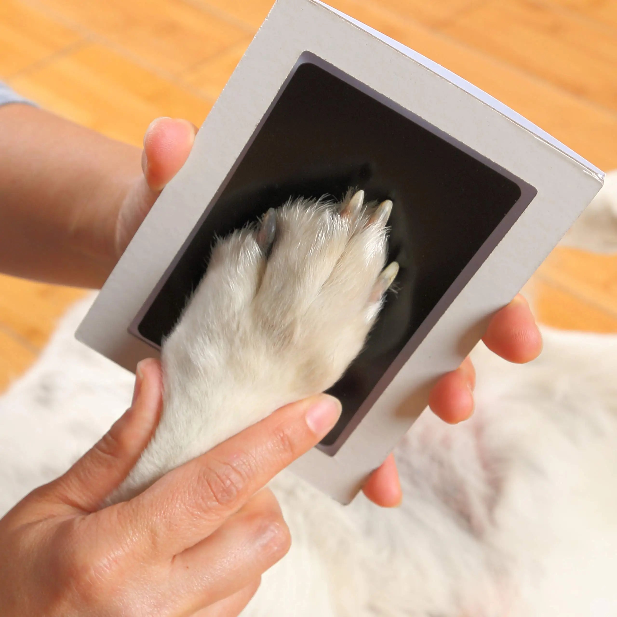 PawPrint Remembrance Pad™ - Inkless Pet Memory Pad